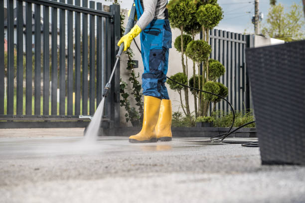 Best Sidewalk and Walkway Cleaning  in Lake Belvedere Estates, FL