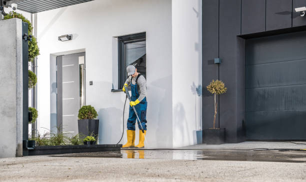 Best Driveway Pressure Washing  in Lake Belvedere Estates, FL